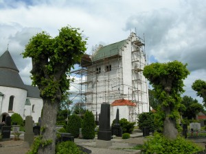 DSCN6833